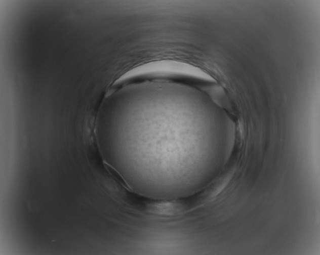 X0000089460237200706291507