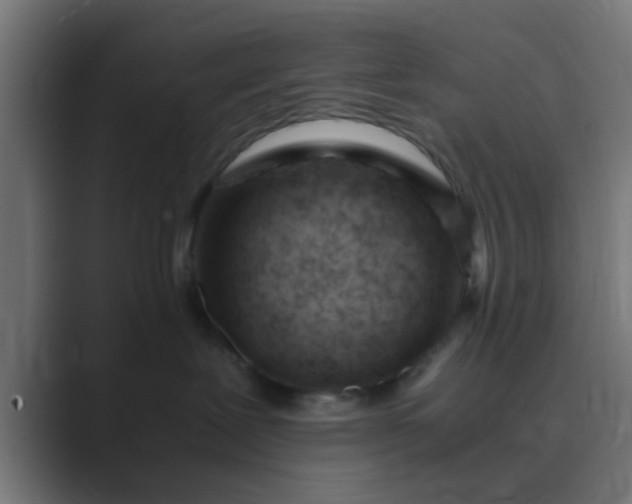 X0000089460239200706291507