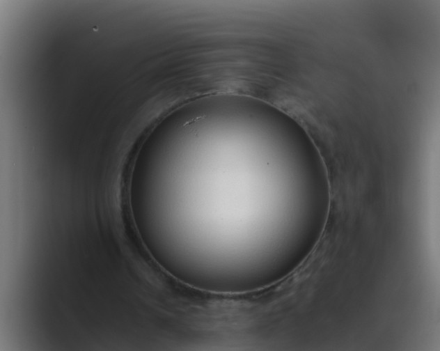 X0000089460242200706291506
