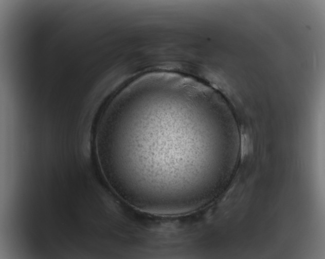 X0000089460243200706291506