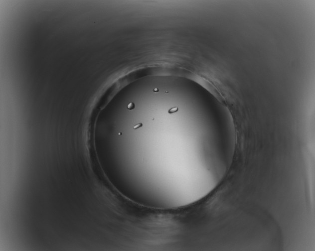 X0000089460244200706291506