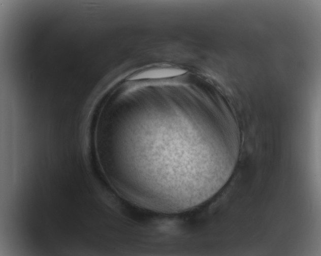 X0000089460247200706291506