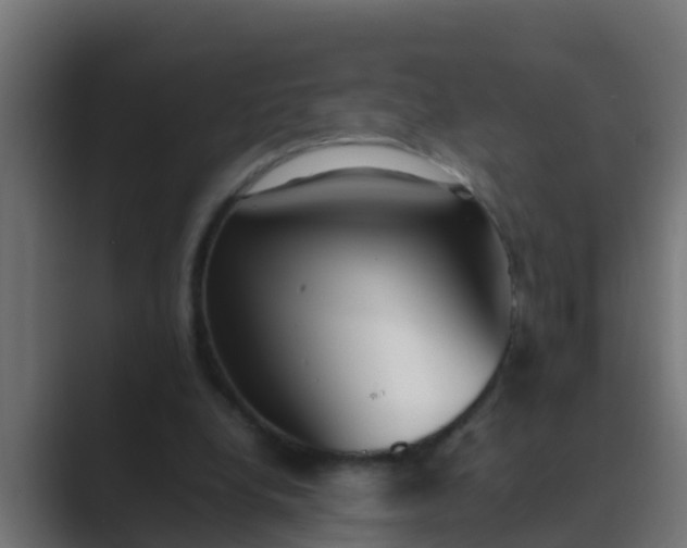 X0000089460248200706291506
