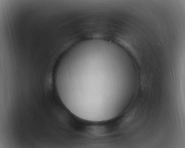 X0000089460251200706291506