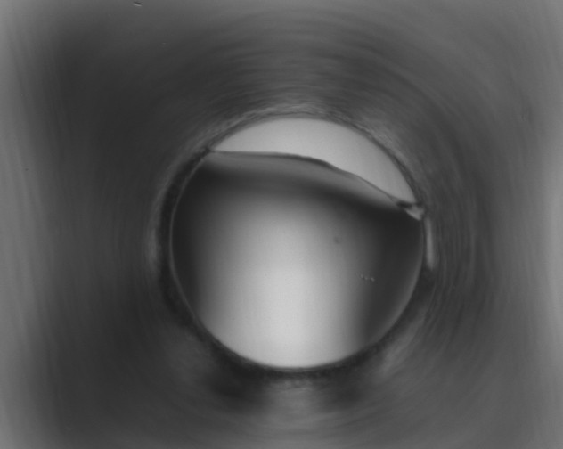 X0000089460252200706291506