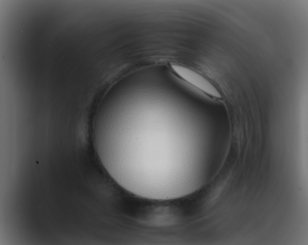 X0000089460255200706291506