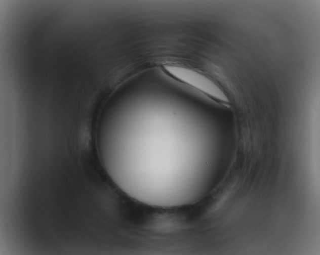 X0000089460259200706291506