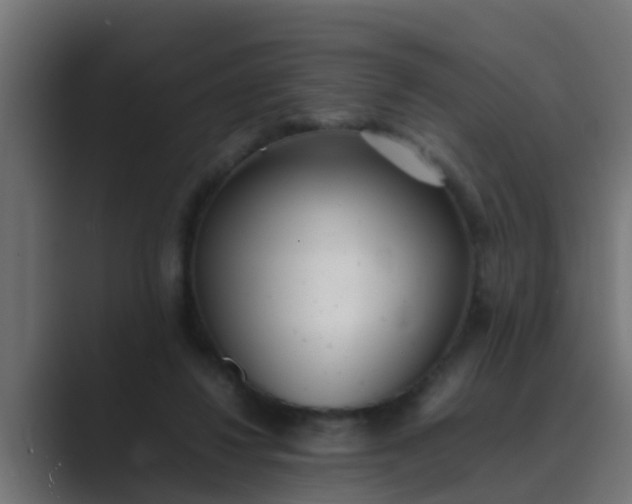 X0000089460260200706291506