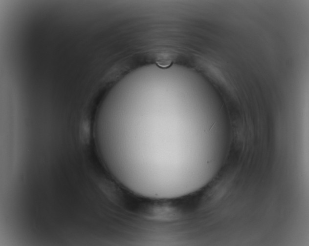 X0000089460262200706291506