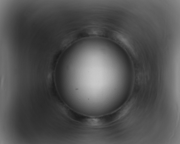 X0000089460265200706291506