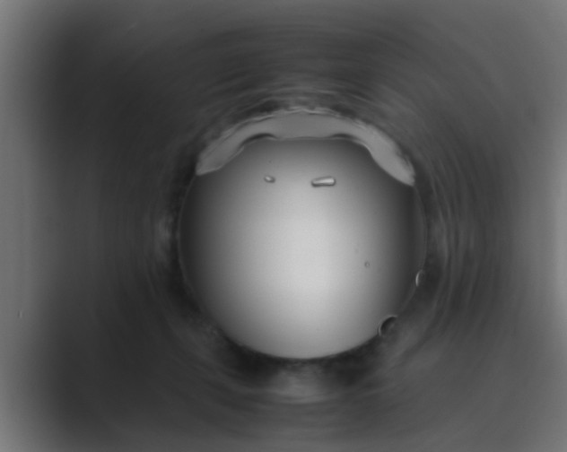 X0000089460271200706291506