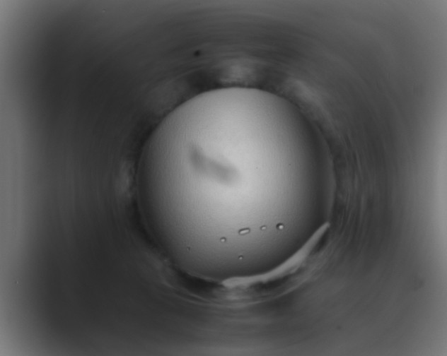 X0000089460273200706291506