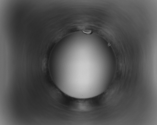 X0000089460275200706291506