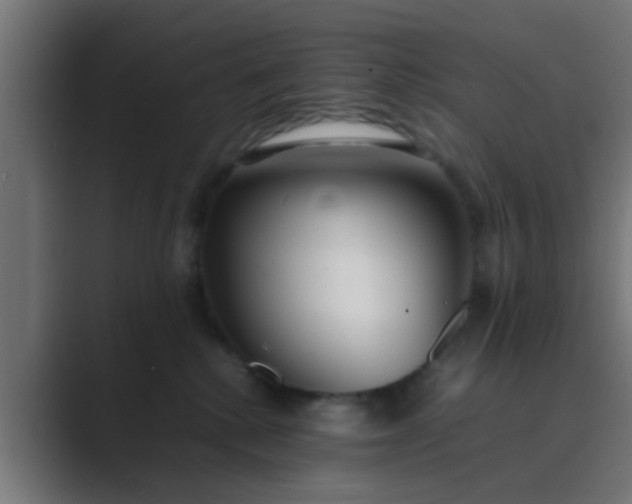 X0000089460280200706291507