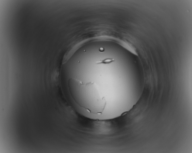X0000089460281200706291507