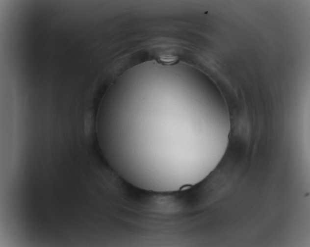 X0000089460283200706291507