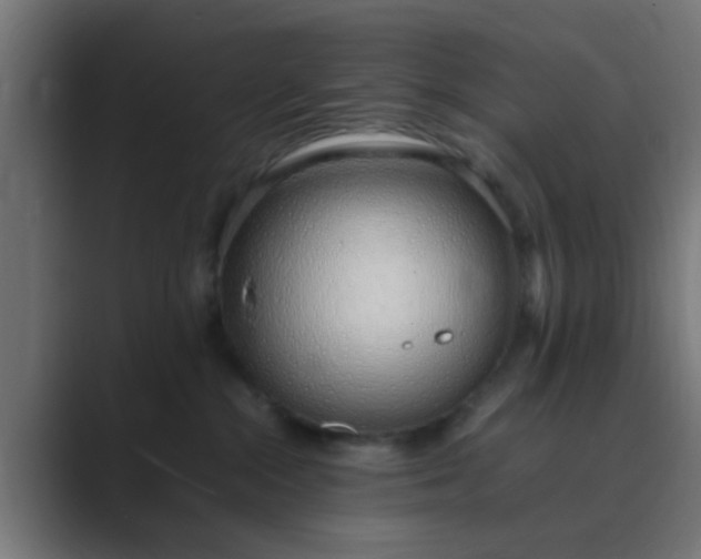 X0000089460284200706291507