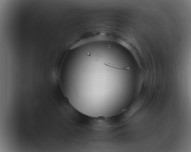 X0000089460285200706291507