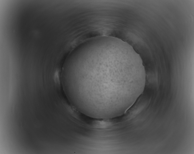 X0000089460286200706291507