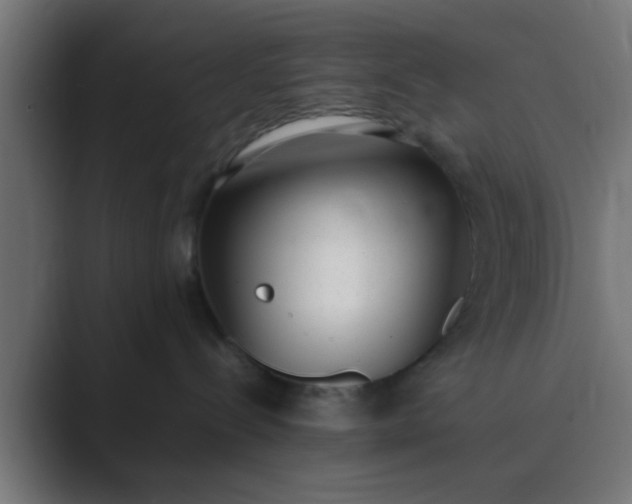 X0000089460288200706291507