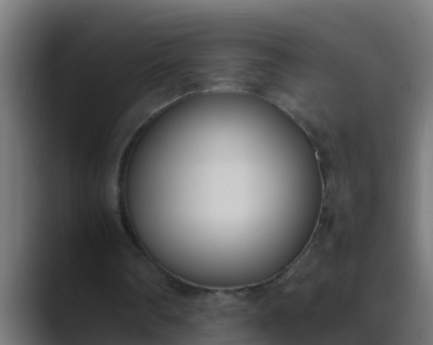 X0000089460290200706291506
