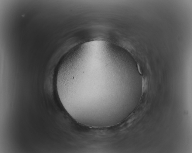X0000089460291200706291506