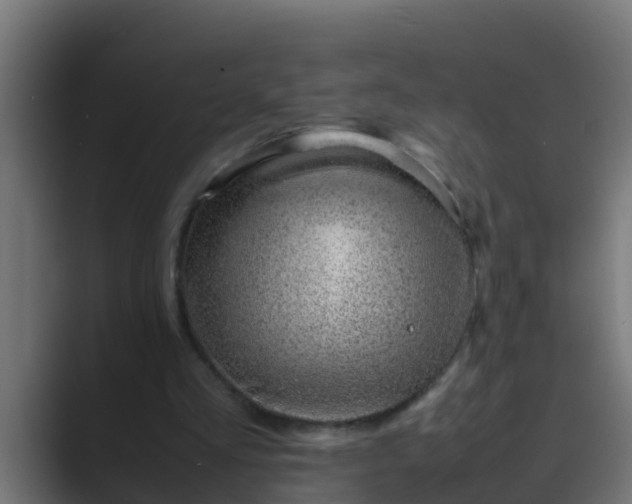 X0000089460293200706291506