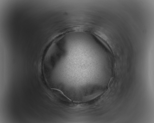 X0000089460297200706291506