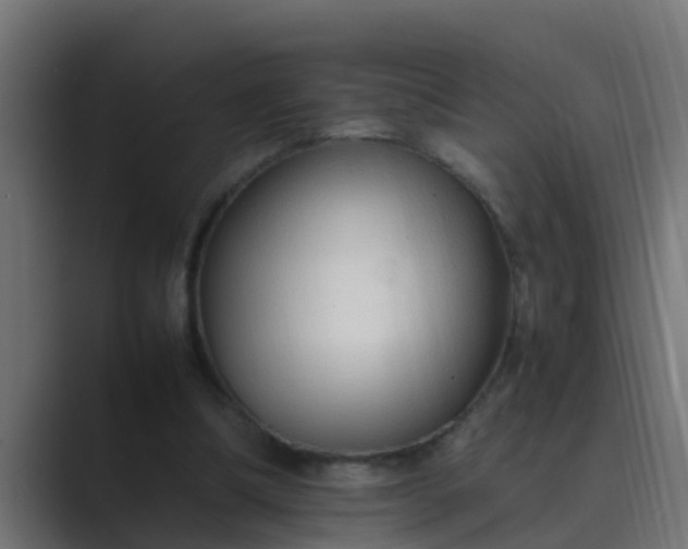 X0000089460298200706291506
