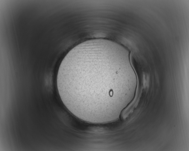 X0000089460300200706291506