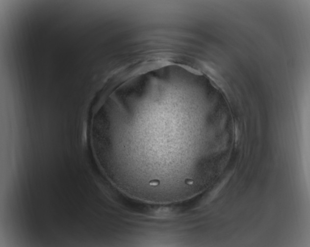X0000089460301200706291506