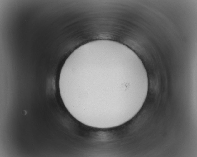 X0000089460302200706291506