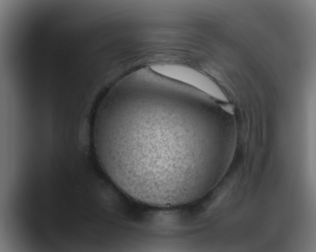 X0000089460303200706291506