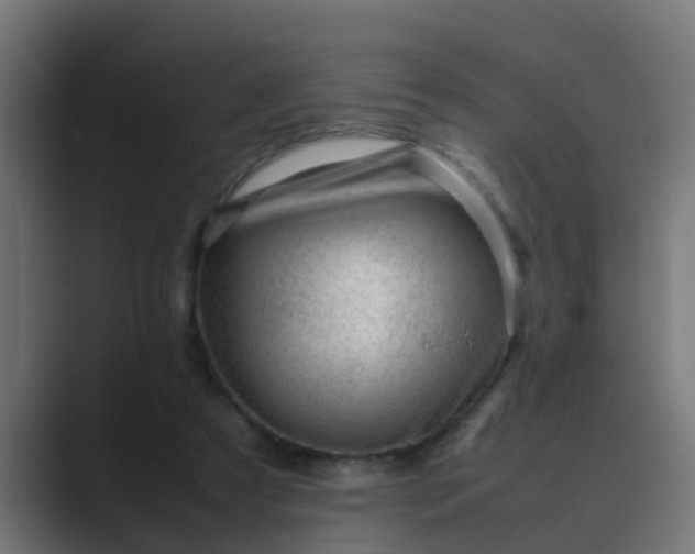 X0000089460305200706291506