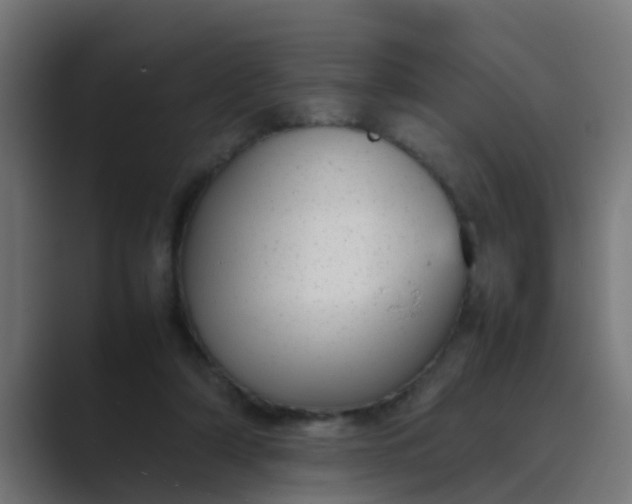 X0000089460306200706291506