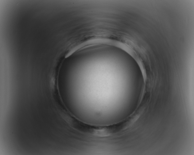 X0000089460309200706291506