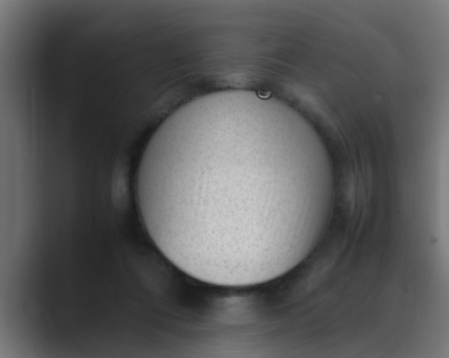 X0000089460312200706291506