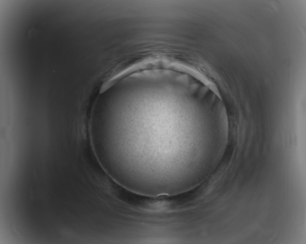X0000089460313200706291506