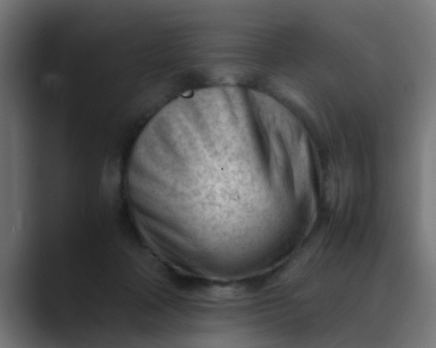 X0000089460314200706291506