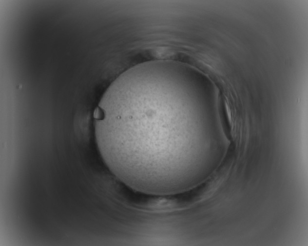 X0000089460319200706291506