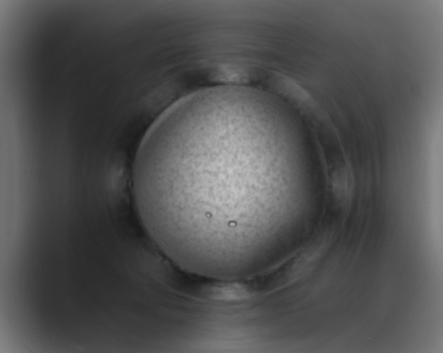 X0000089460322200706291506