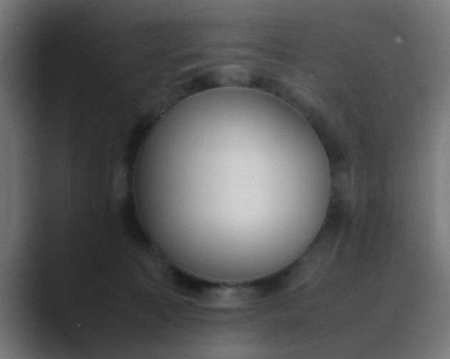 X0000089460323200706291506