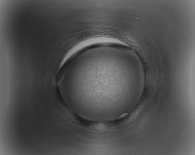 X0000089460325200706291506