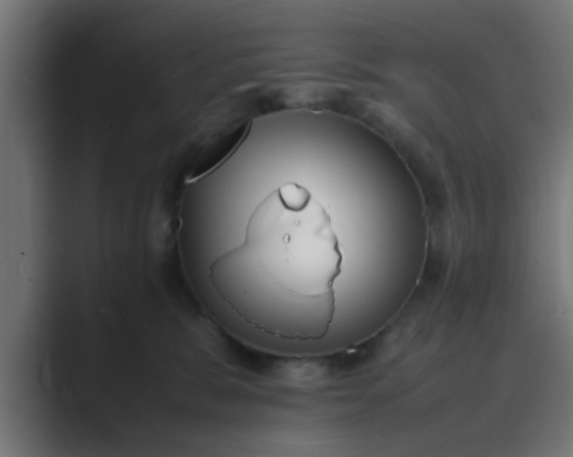 X0000089460327200706291506
