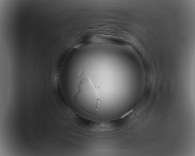 X0000089460329200706291506