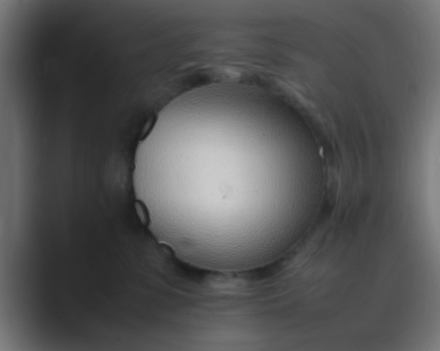 X0000089460331200706291506
