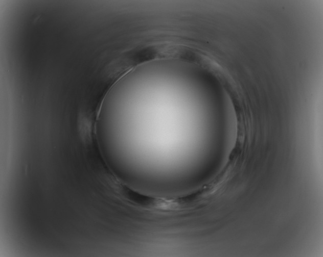 X0000089460333200706291506