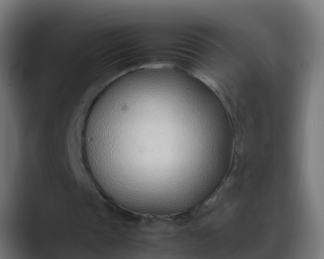 X0000089460337200706291505