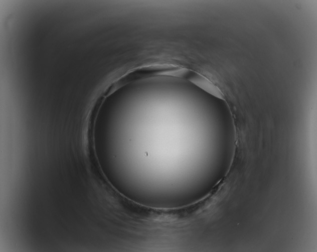 X0000089460340200706291505