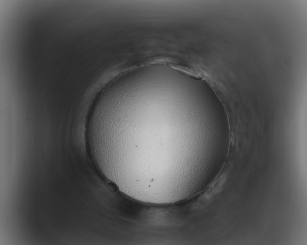 X0000089460341200706291505